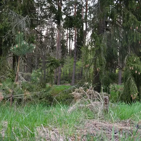 Dom Mazury Nidzica