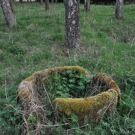 Dom Mazury Vakantiehuis *