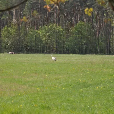 Vakantiehuis Dom Mazury